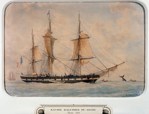 Hvalfangstskib ved Havreswed