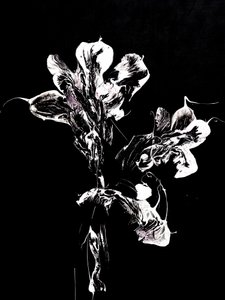 Flytande mörka blommor av Françoise Wattré