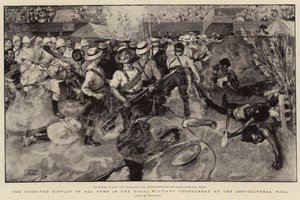 Den kombinerade uppvisningen av alla vapen i Royal Military Tournament i Lantbrukshallen av Frank Craig