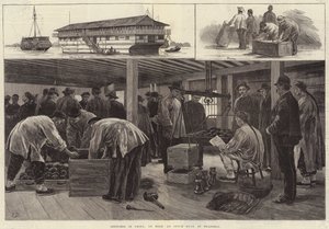 Skisser i Kina, ombord på en Opium Hulk i Shanghai