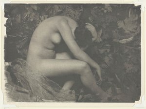 Cikadan, 1898.