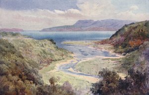 Nya Zeeland: Sjön och berget Tarawera (färglitografi)