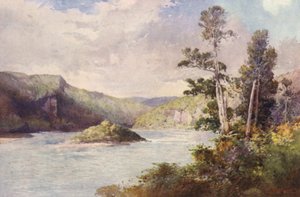 Nya Zeeland: White Cliffs, Buller River (färglitografi)