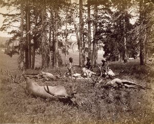 Älgjägare, Yellowstone, ca 1880 (albumin silvertryck)
