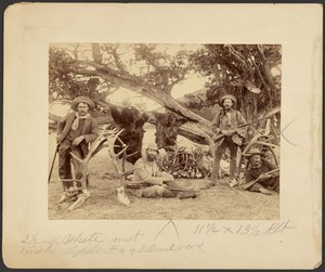 Lispenard Stewart party, #6 - 5th Ave., N.Y. med troféer vid gammalt cederträd, Mammoth Hot Springs, Yellowstone National Park av Frank Jay Haynes