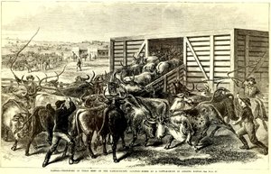 Cattle Chute i Abilene, Kansas, ca. 1871 (gravyr)