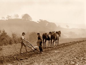 Bönder som plöjer en åker på Lealholm Hall Farm, Whitby. c.1889
