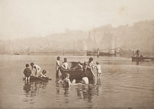 Vattenråttor av Frank Meadow Sutcliffe