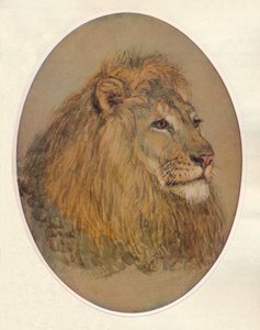 Lions huvud, c1896