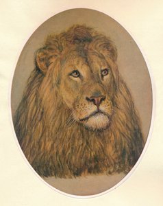 Lions huvud, c1896