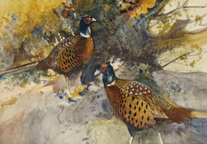 tuppfasaner under ett bokträd, av Frank Southgate