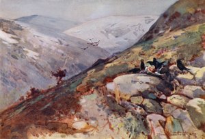 Nära Kielder (färg litho) av Frank Southgate
