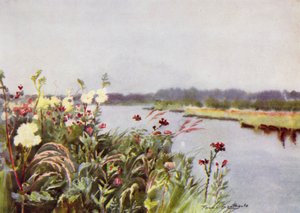 Norfolk Broads: A Bure Bank (lito i färg)