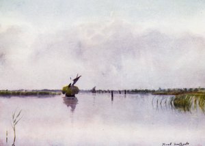 Norfolk Broads: Hay-Boat på Hickling Broad
