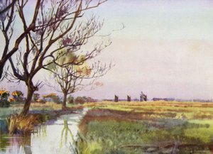 Norfolk Broads: Marshland nära Barton (färg litho)