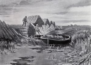 Norfolk Broads: Reed-Stacking (litho)