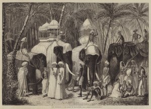 The Elephants of the Rajah of Travancore  av Frank Vizetelly