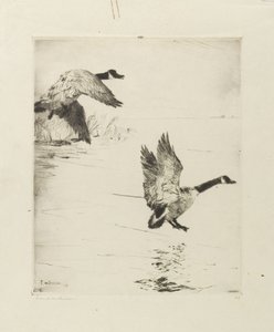 Gäss avstigning av Frank Weston Benson