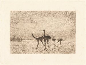Strutsar i öknen av François Nicolas Auguste Feyen Perrin