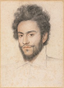 Ung man med skägg, 1600-talet.