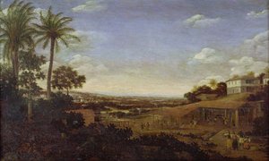 Okänd bild av Frans Post
