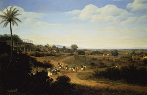 Panoramautsikt i Brasilien (par 61466) av Frans Post