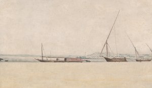 Tropiskt kustlandskap, 1600-talet. av Frans Post.