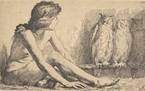 Flickan med ugglorna av Frans Schwartz