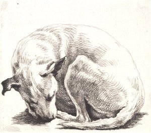 Provtallrik: En hund av Frans Schwartz