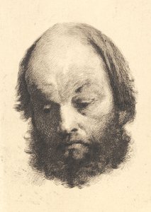 Blackbeard Man, Garibaldi av Frans Schwartz