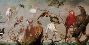 Fågelkonsertmålning av Frans Snyders (Snijders) (1579-1657) 1600-talets Madrid, Pradomuseet