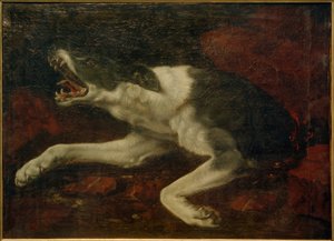 skadad hund av Frans Snyders or Snijders