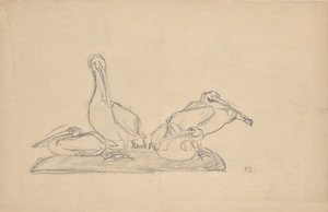 Utkast för en grupp pelikaner av Franz Barwig d. Ä.