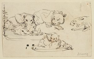 Snurrande Sundapanthers av Franz Barwig d. Ä.