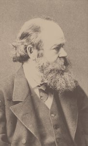 Porträtt av kompositören Robert von Hornstein 1833-1890.