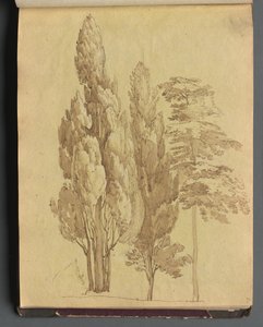 Album med utsikt över Rom och omgivningar, Landskapsstudier, sidan 15a: Träd. av Franz Johann Heinrich Nadorp