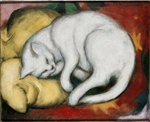 Den vita katten