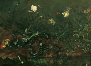 Gräsmatta med tistel, grodor och trollslända av Franz Michael Siegmund von Purgau d. Ä.