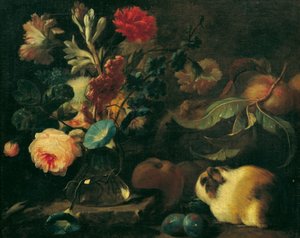 Stilleben med marsvin, blommor och frukter