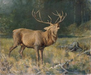 Brun rådjur av Franz Xaver von Pausinger