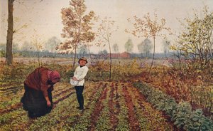 Violfältet, 1867, c1915