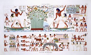 Preparing food for Dead, från en sällsynt uppteckning av fresker från Thebe, inspelad 1819-1822 vid hans andra besök i Egypten av Frederic Cailliaud (1787-1869), färg litho