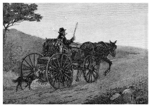 En Colac-kaninfångare, 1886.