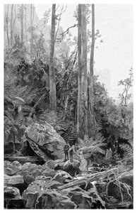 En ravin i Blue Mountains, Australien, 1886.