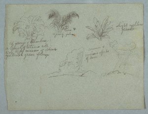 Bambu, vinranka och en ung palm, växt och två scener av regn som faller från moln över åsar, Rio Magdalena, Colombia av Frederic Edwin Church