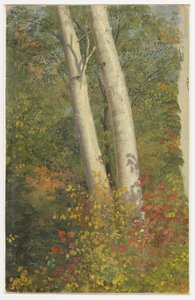 Björkträd på hösten av Frederic Edwin Church