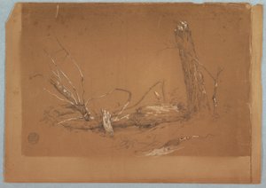 Teckning, Ett brutet dött träd, 1855-65 av Frederic Edwin Church