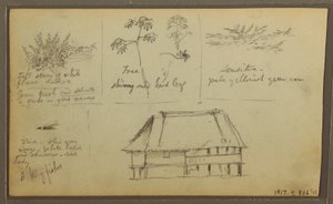 Teckning, Ett fort; Verso: Botaniska skisser, Hus, 1857 av Frederic Edwin Church