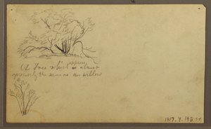 Teckning, En hydda på posteringar, Guayaquil, Ecuador, maj 1857 av Frederic Edwin Church