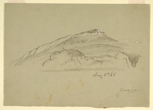 Teckning, Ett träd, Bayern, 8 augusti 1868 av Frederic Edwin Church